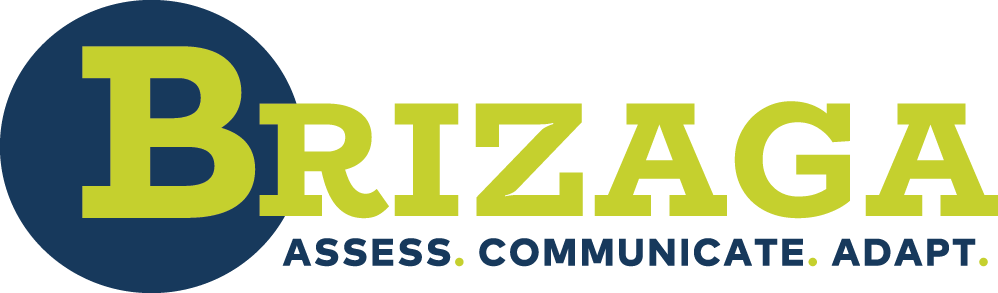 Brizaga Logo